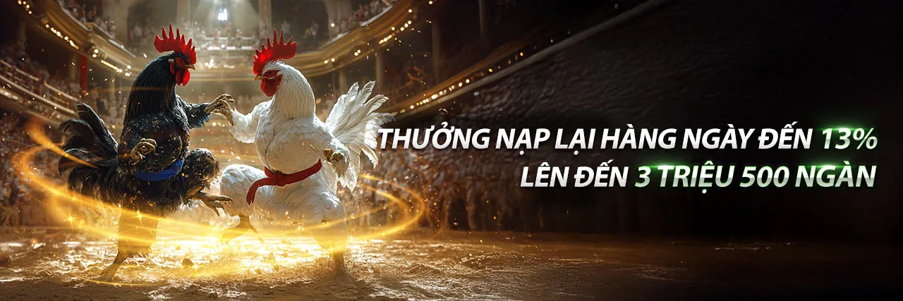 Đá Gà Trực Tuyến TD88 Nổ Hũ